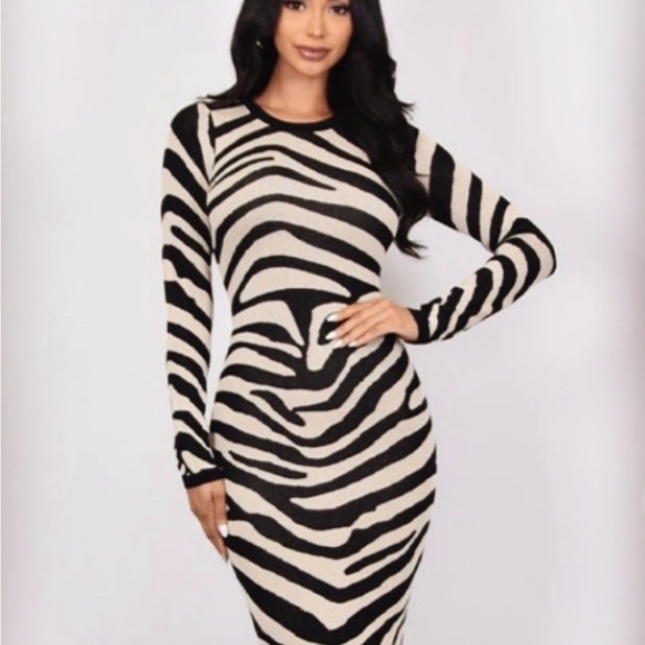 Cameo| Zebra print Sweater Dress - Picture 3 of 4